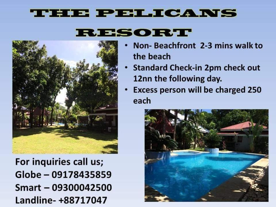 The Pelicans Resort Batangas Esterno foto